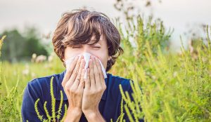 beste-besserung_immunsystem_allergien-pollen